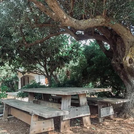 Apartamento Agrilia Maison *