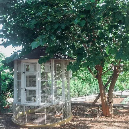 Apartamento Agrilia Maison *